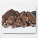 Suche nach dobermann mousepads Haustiere