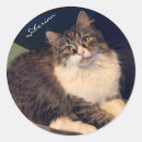 Suche nach katzengeschenke aufkleber Katzenaufkleber