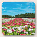 Suche nach rote blume untersetzer Quelle