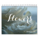 Suche nach kleiner kalender Blume