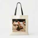 Suche nach ferkel taschen Nutztier