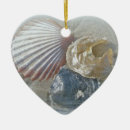 Suche nach muscheln ornamente Natur