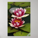 Suche nach seerose poster Schwebend