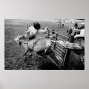 Suche nach sattel poster Cowboy