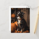 Suche nach collie postkarten Hund