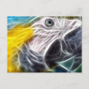 Suche nach schöner vogel postkarten Gold