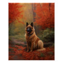 Suche nach belgische poster Haustier