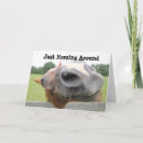 Suche nach einfacher reiter karten Pferd