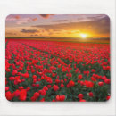 Suche nach tulpen mousepads Blüte
