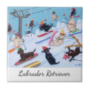 Suche nach fähre fliesen Ski fahren