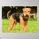 Suche nach hunting dog poster Pet