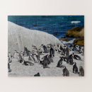 Suche nach pinguin puzzle Vögel