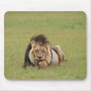 Suche nach männlicher löwe mousepads Tier