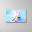 Suche nach oahu leinwandbilder Blume