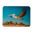 Suche nach pelikane magnete Tierwelt