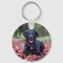 Suche nach labrador schlüsselanhänger Dog