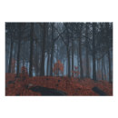 Suche nach waldboden poster Herbst