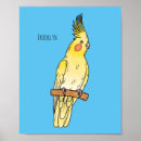 Suche nach cockatiel poster Papagei