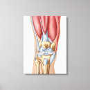 Suche nach menschliche anatomie leinwandbilder Medizinisch