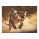 Suche nach löwin poster Katze