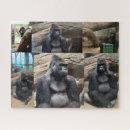 Suche nach gorilla puzzle Wildtiere