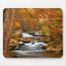 Suche nach herbst mousepads Blatt