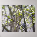 Suche nach birnen post poster Blau