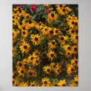 Suche nach susans poster Blumig