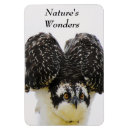 Suche nach wunder magnete Natur