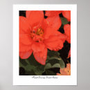 Suche nach geheim poster Rosa