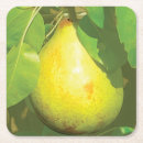 Suche nach birne untersetzer Frucht