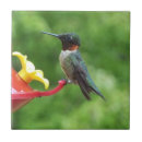 Suche nach bird fliesen Tierwelt