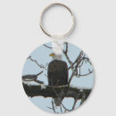 Suche nach bald eagle schlüsselanhänger Natur