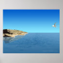 Suche nach migration poster Vogel