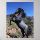 Suche nach blaues pony poster Senf