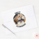 Suche nach shihtzu aufkleber Hund