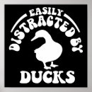 Suche nach enten poster Vögel