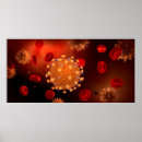 Suche nach grippe poster Erythrozyten