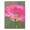 Suche nach poppy Rosa