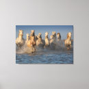 Suche nach sand und weiß poster leinwandbilder Strand