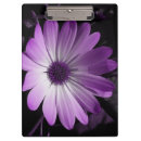 Suche nach lila blumen klemmbrett Fotografie