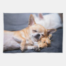 Suche nach chihuahua geschirr tücher Welpe