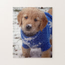 Suche nach hund im schnee puzzle Welpe