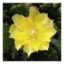 Suche nach feuchtigkeit poster Blume