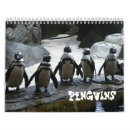 Suche nach pinguin kalender Fotografie