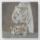 Suche nach weißer tiger untersetzer Groß