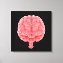 Suche nach nervensystem poster Vorderansicht