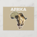 Suche nach lions poster postkarten Natur