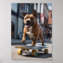Suche nach superstar poster Hund