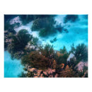 Suche nach bonaire poster Karibisch